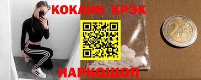тгк Кингисепп