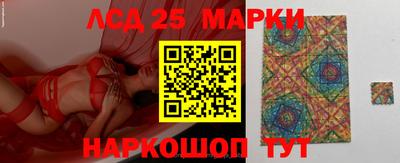 тгк Кингисепп