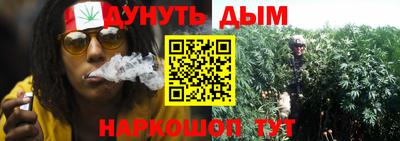 тгк Кингисепп