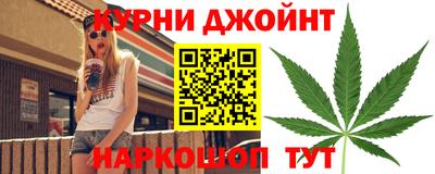 тгк Кингисепп