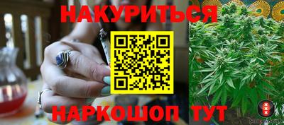 тгк Кингисепп